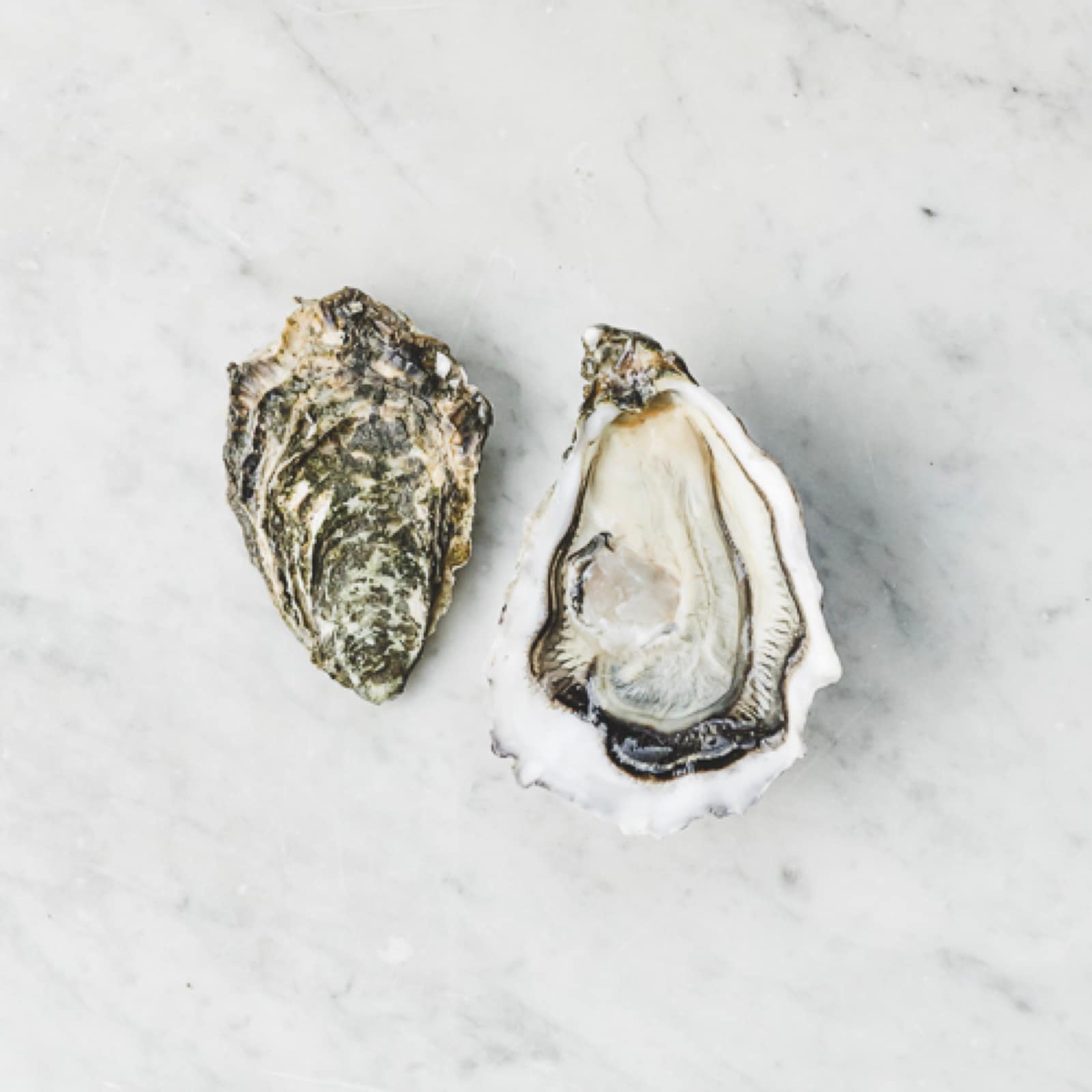 Déguster une huître Ostra Regal dans les règles de l'art