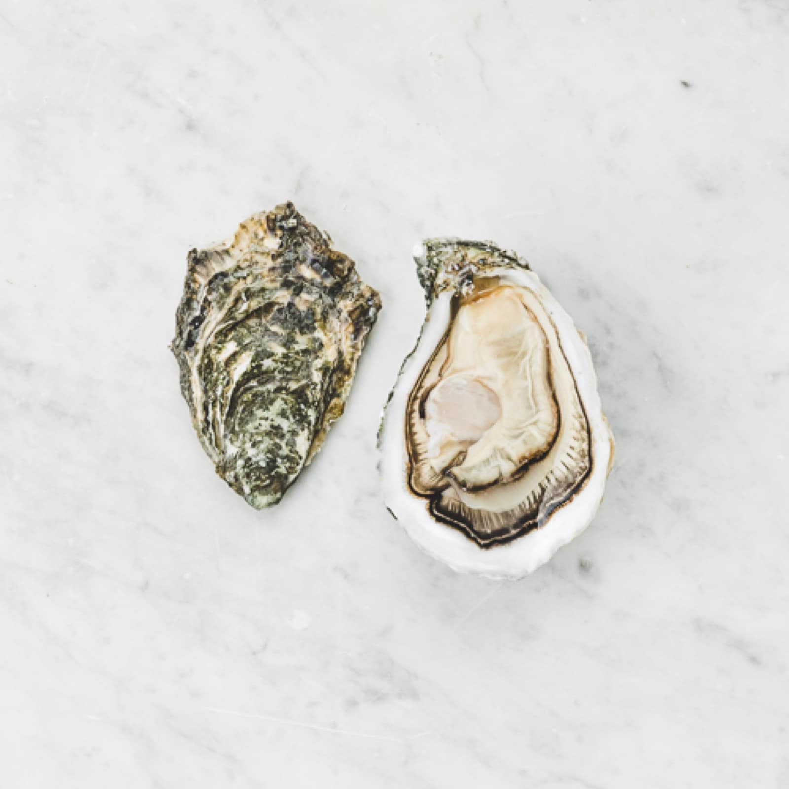 Accords vins & huîtres — Ostra Regal