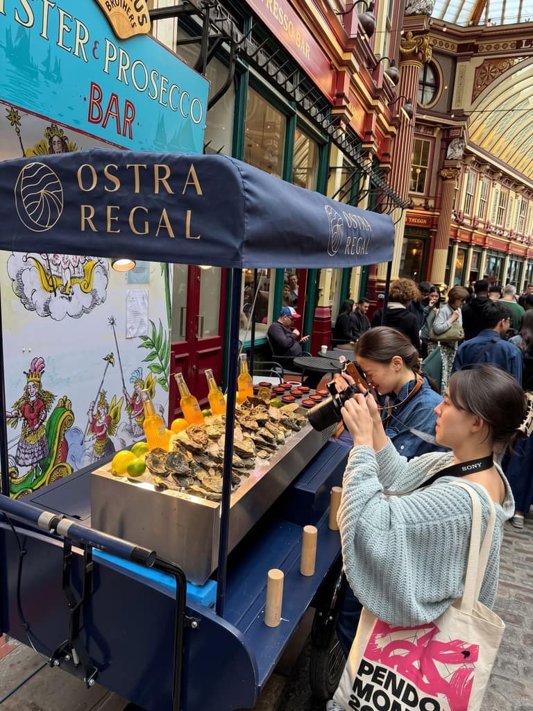 Ostra Regal — Galerie · 3
