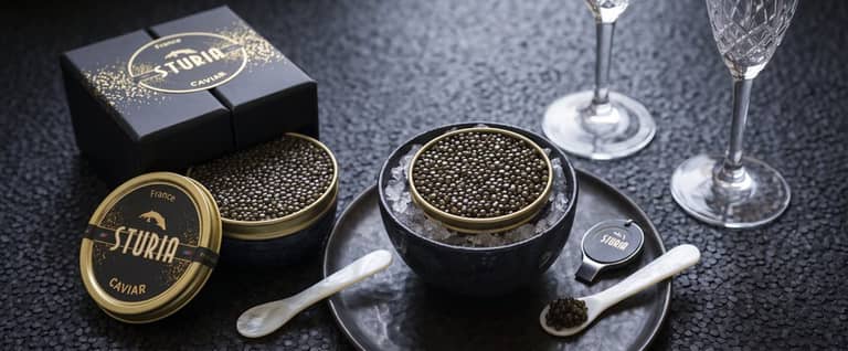 Ostra Regal — Le spectacle en plus · vignette caviar