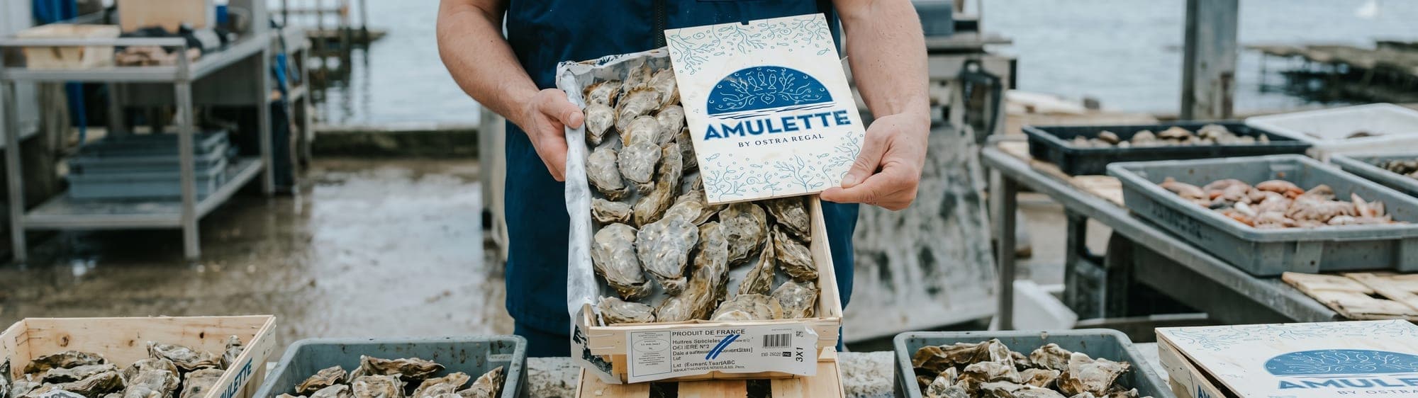 Cru Ostra Regal Amulette, huître de dégustation