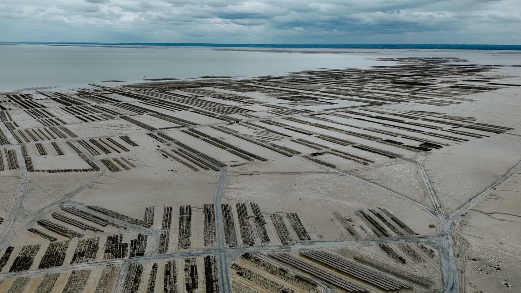 Vue aérienne de parcs à huîtres — Ostra Regal, maison de Cancale