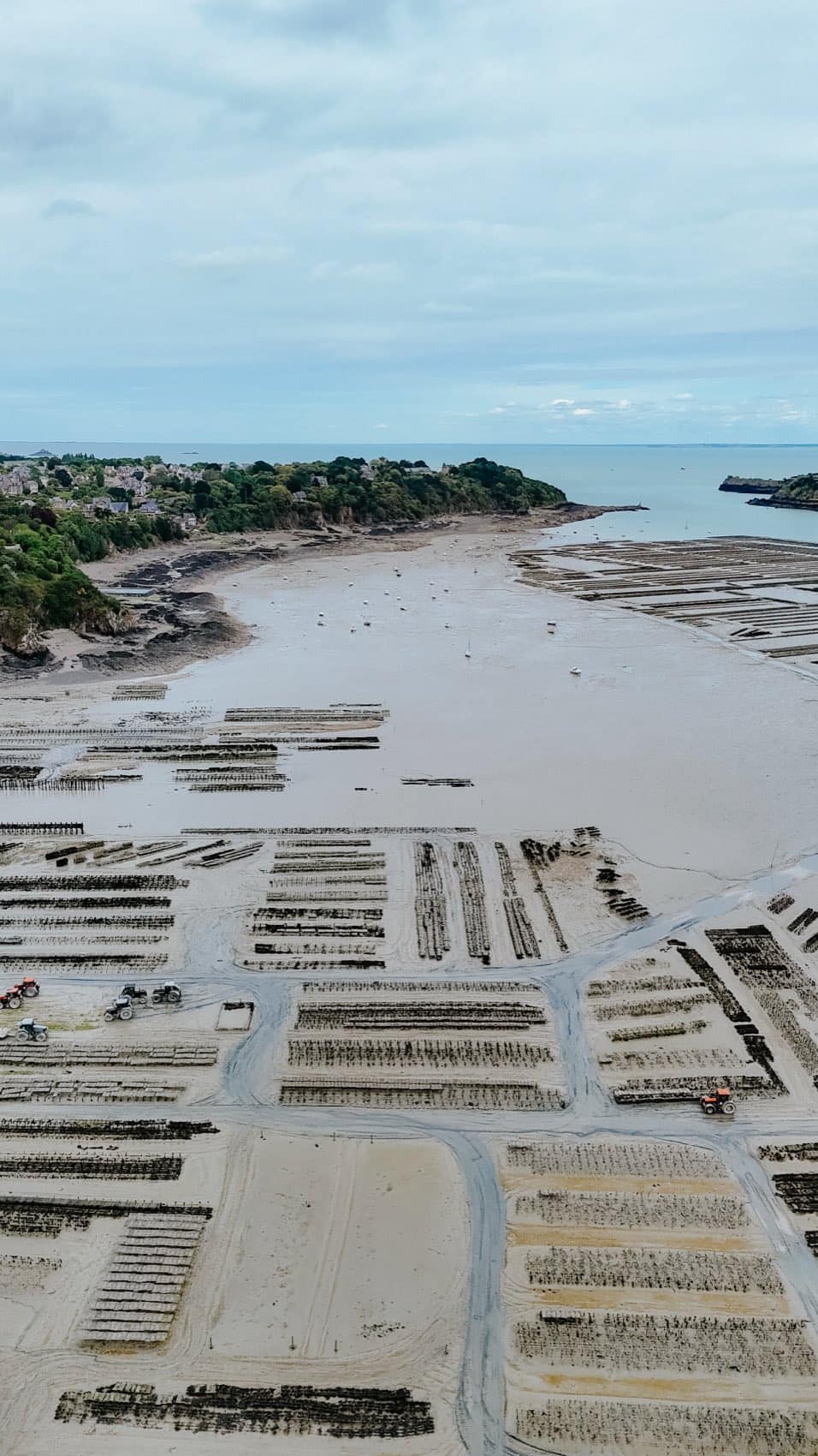 Naissain d'huître Ostra Regal en Vendée — étape 1 du procédé