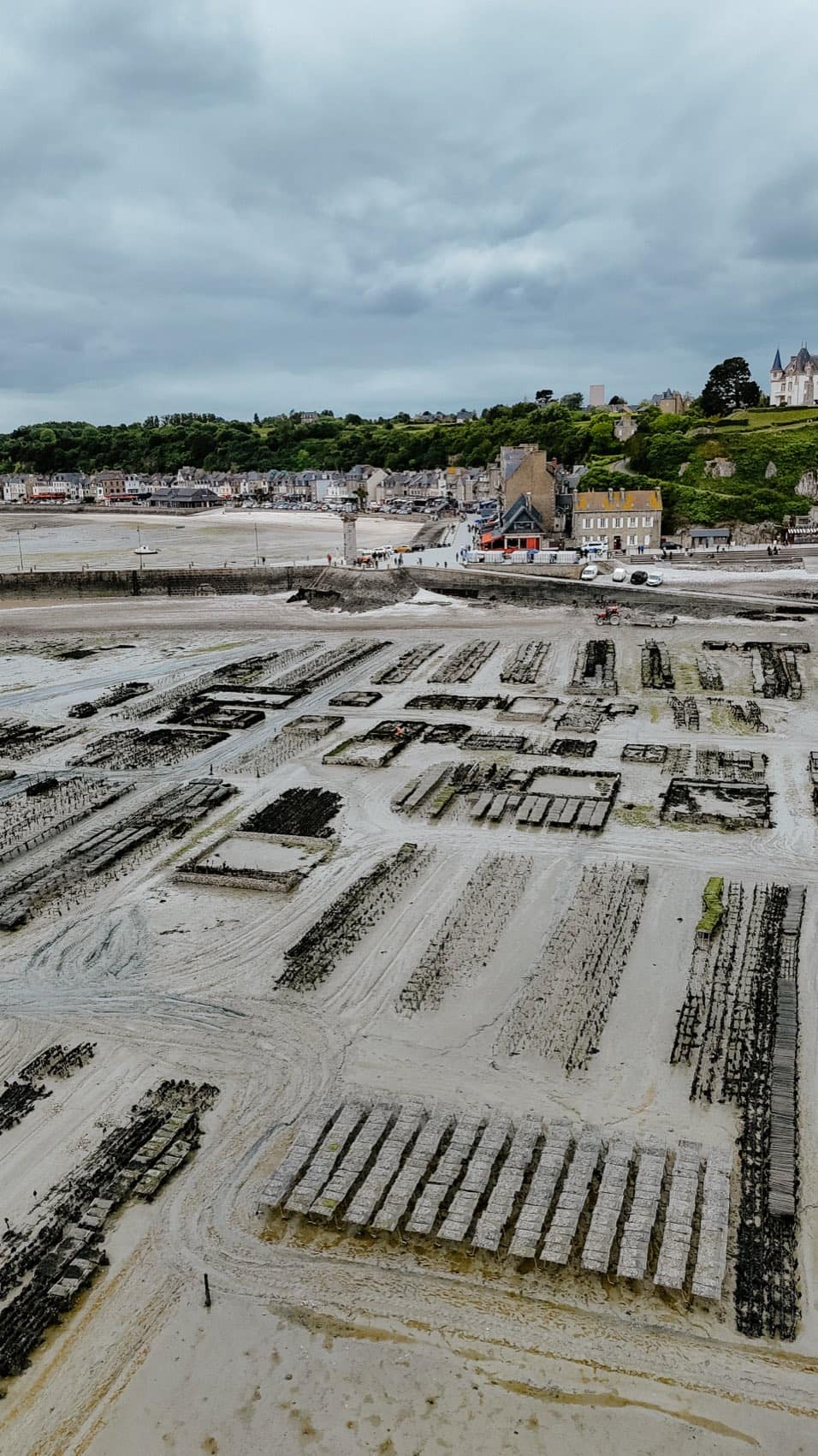 Croissance de l'huître Ostra Regal en Irlande — étape 2