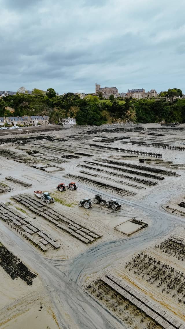 Procédé de l'huître Ostra Regal, des parcs d'Irlande à Cancale — Étape 2 · détail 2