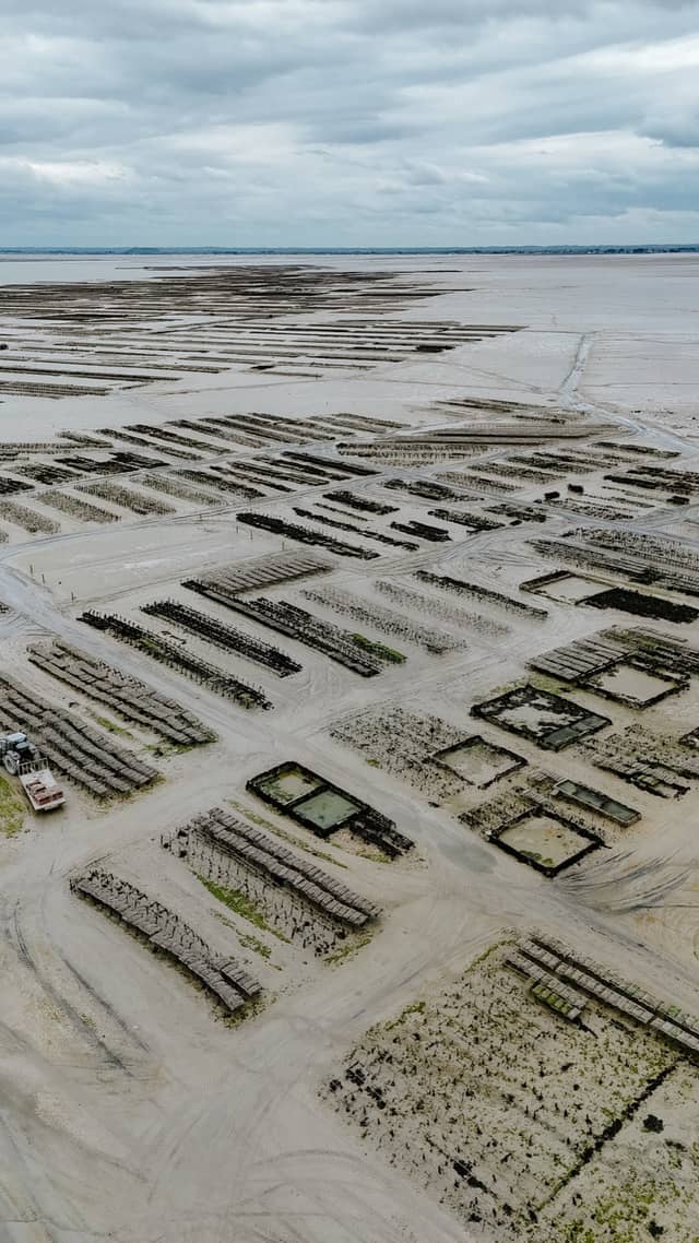 Procédé de l'huître Ostra Regal, des parcs d'Irlande à Cancale — Étape 3 · détail 2