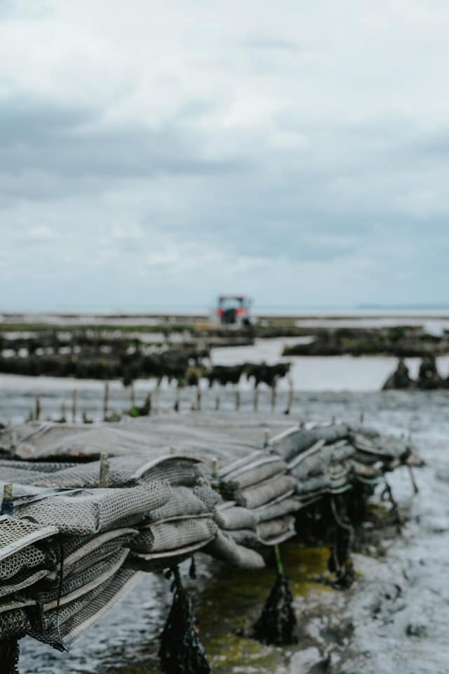 La Famille Boutrais, maison ostréicole à Cancale — Ambiance 9