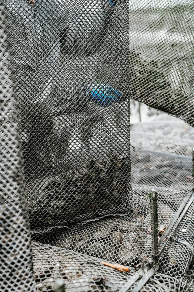 La Famille Boutrais, maison ostréicole à Cancale — Ambiance 13
