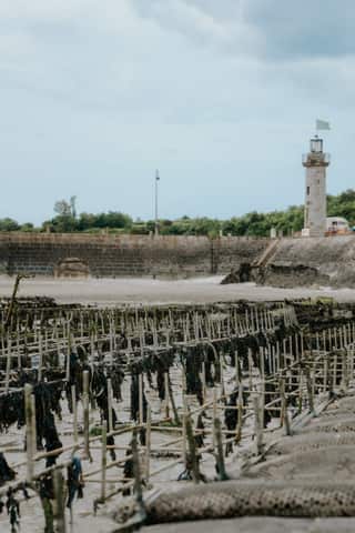 Le geste ostréicole Ostra Regal — Tuile 13