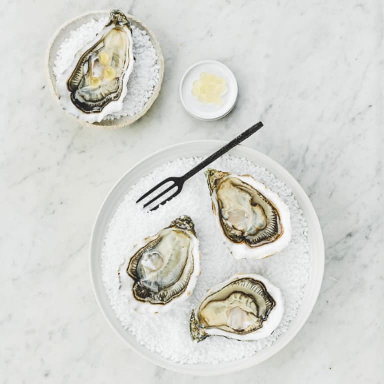 L'huître Ostra Regal, huître creuse d'exception — Packshot (haut)