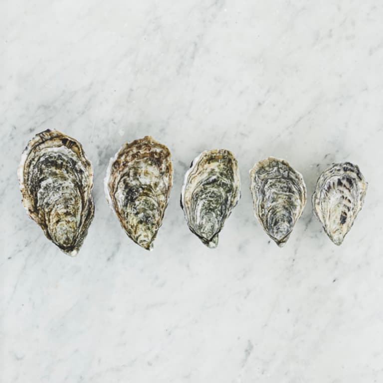L'huître Ostra Regal, huître creuse d'exception — Packshot (haut)